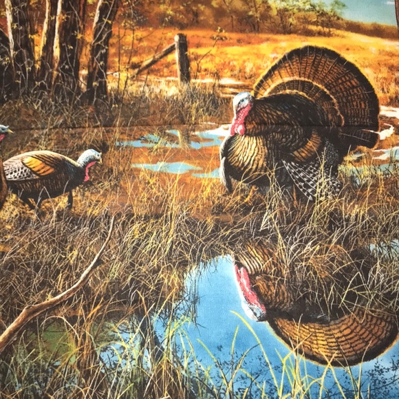 New Large Wild Turkeys Appliqué - Picture 2 of 6